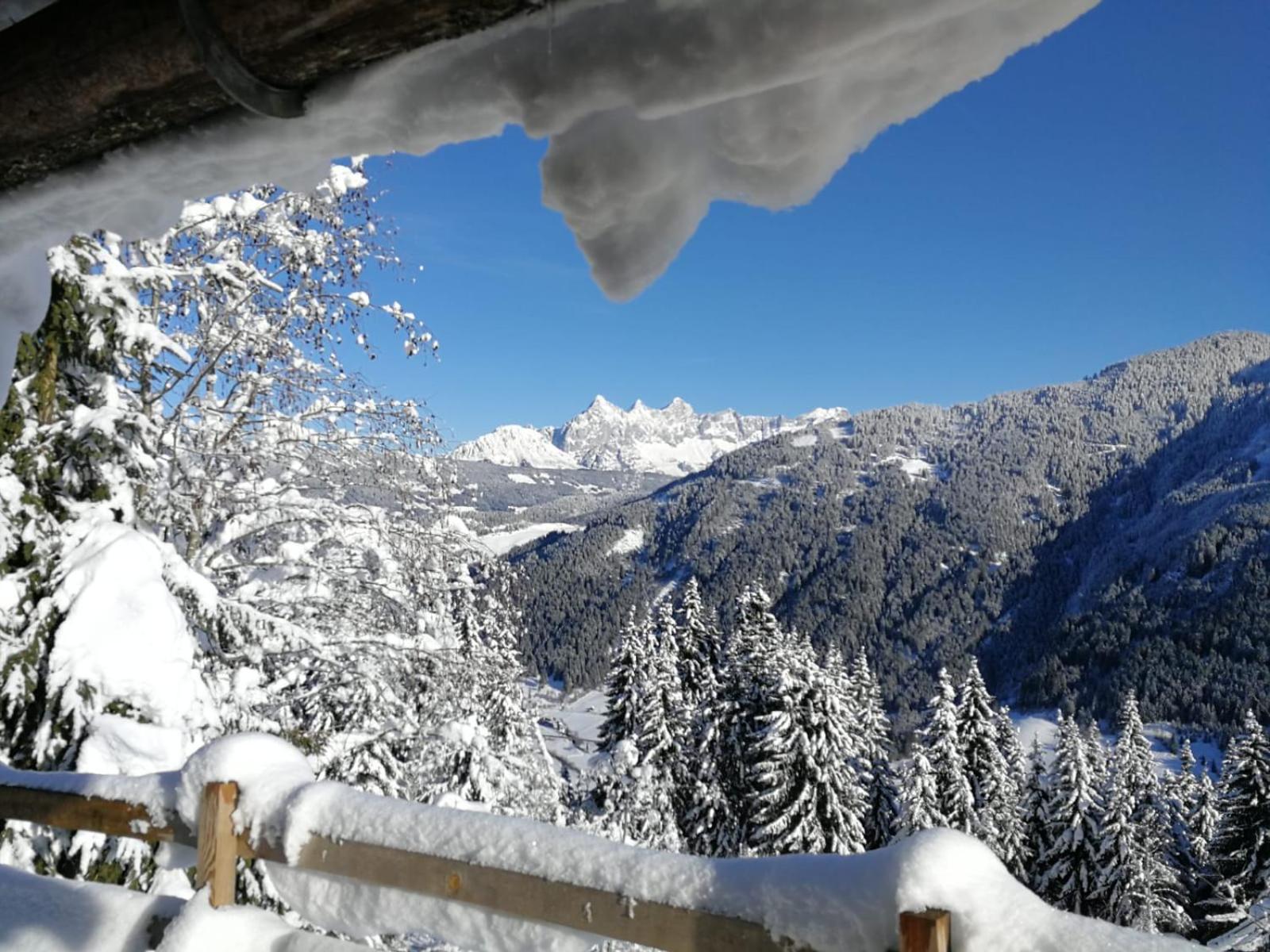 Natur & Familienhotel Der Stieglerhof Radstadt Luaran gambar