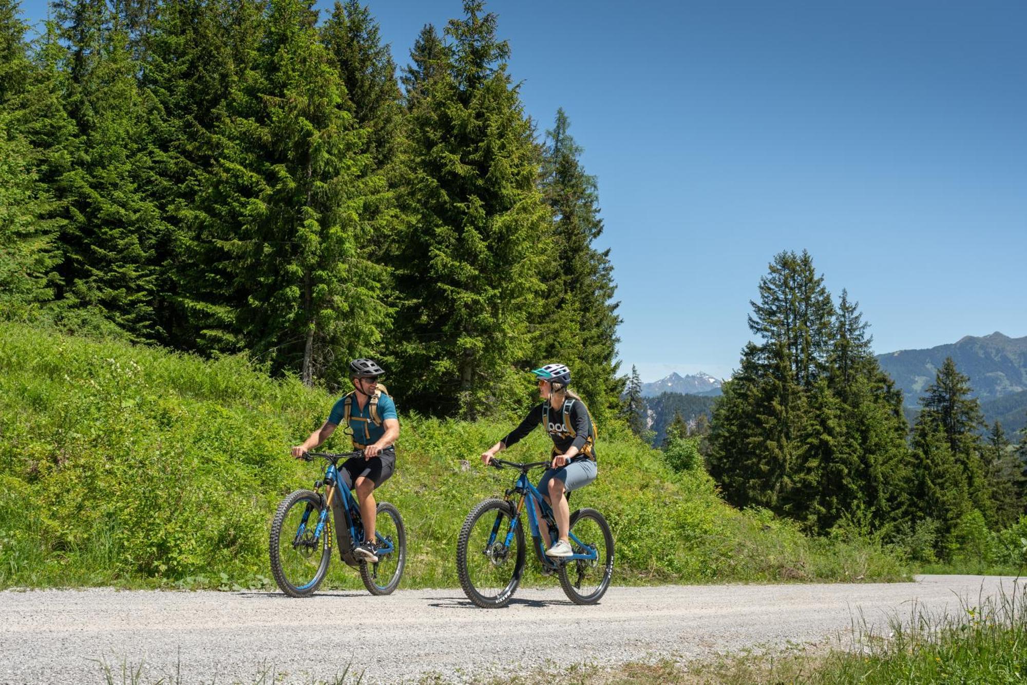 Natur & Familienhotel Der Stieglerhof Radstadt Luaran gambar